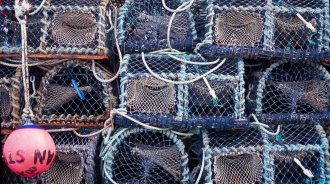Lobster pots
