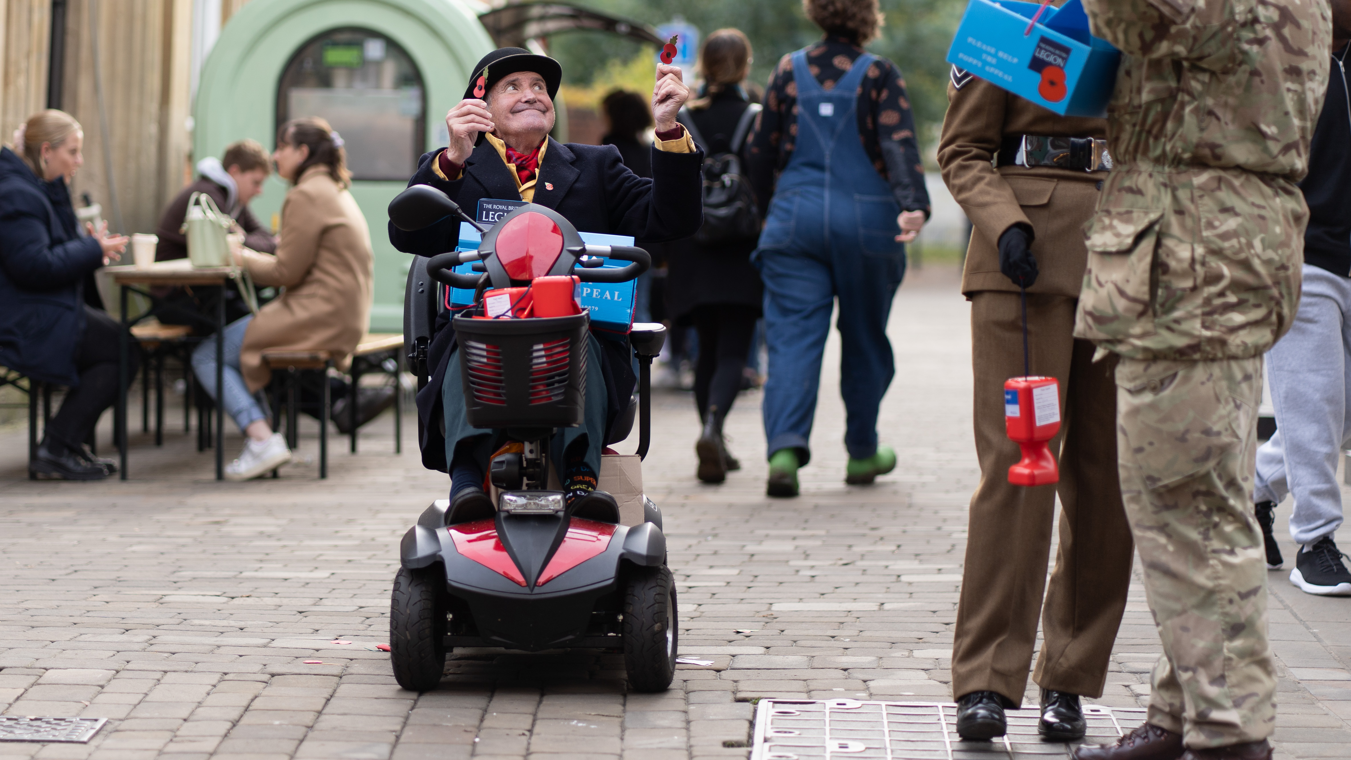 Poppy Collection in Winchester